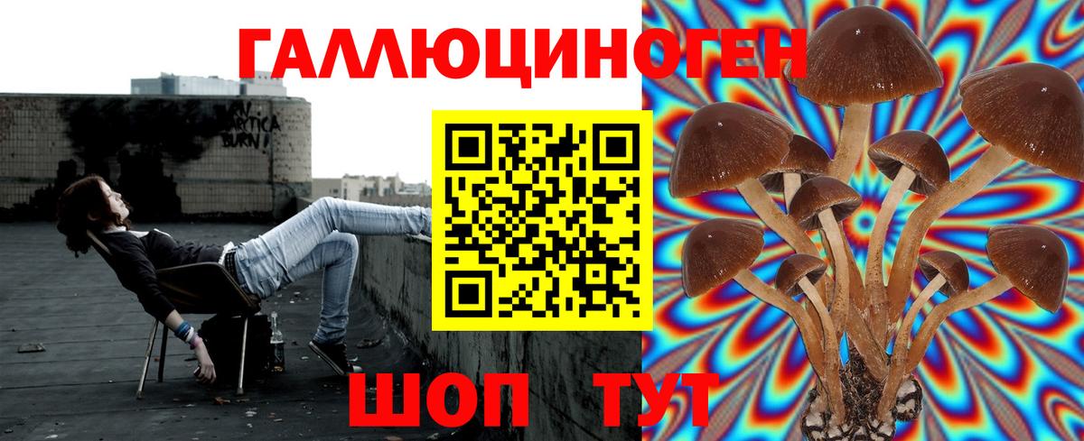 Кольчугино  Псилоцибиновые грибы прущие грибы  Вход с VPN  Псилоцибиновые грибы Magic Shrooms 